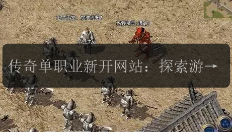 传奇单职业新开网站:探索游戏世界的无限可能